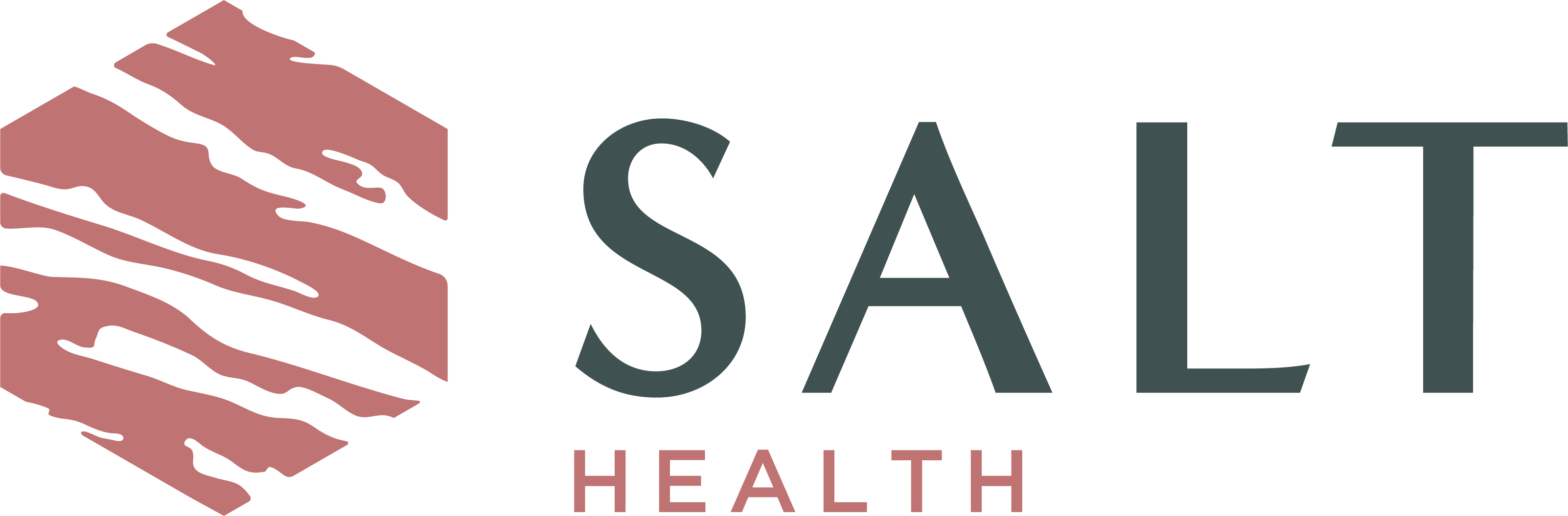 SALT Health Logo